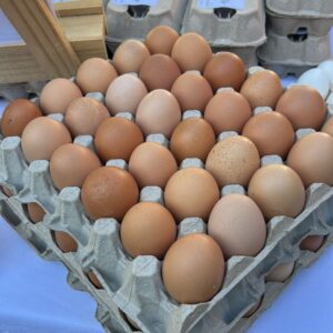 Free Range Eggs